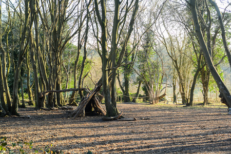 Dens or shelters made from logs and sticks in the forestの写真素材