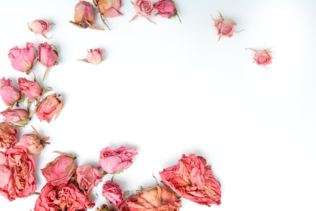 Dried flower still life with rose flowersの写真素材