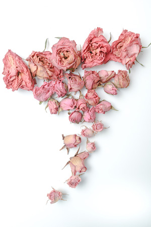 Dried flower still life with rose flowersの写真素材