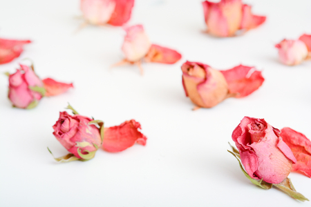 Dried flower still life with rose flowersの写真素材