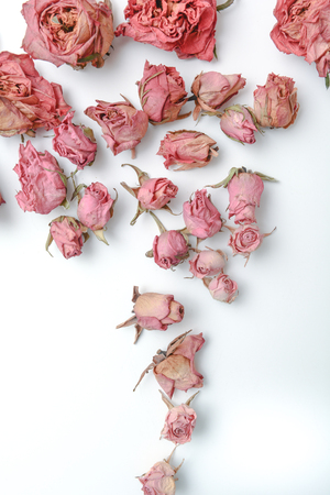 Dried flower still life with rose flowersの写真素材