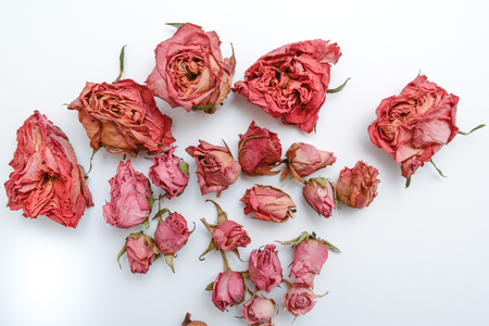 Dried flower still life with rose flowersの写真素材