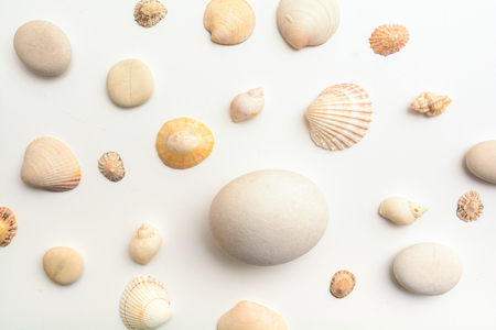 Sea shell objects for seaside and beach themed designの写真素材