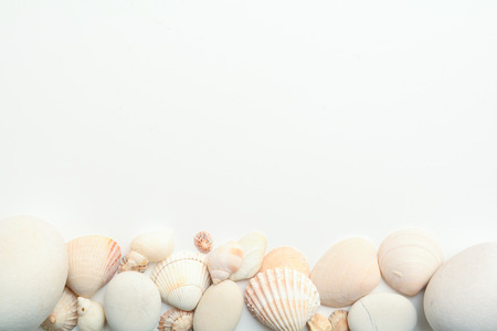 Sea shell objects for seaside and beach themed designの写真素材