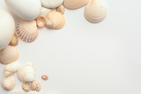 Sea shell objects for seaside and beach themed designの写真素材