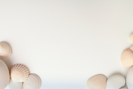 Sea shell objects for seaside and beach themed designの写真素材