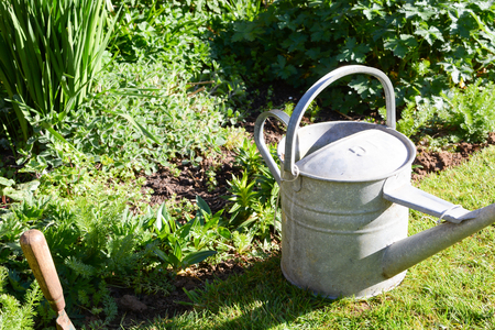 Gardening work tools by a lush green flower bedの写真素材