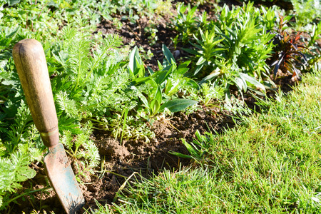 Gardening work tools by a lush green flower bedの写真素材