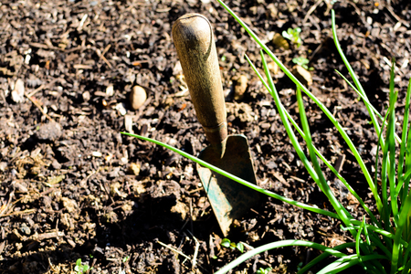 Empty flower bed in a garden ready for planting