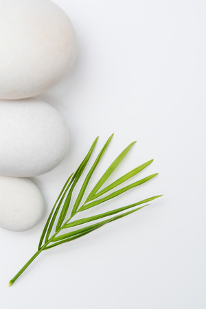 Wellness and spa products for healthy skinの写真素材