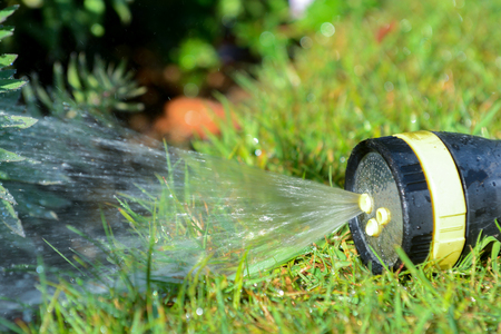 Hose pipe sprinkler watering garden lawn and flower bedの写真素材