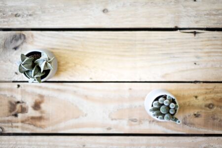 Overhead view of cactus and small succulent plant on a wooden office deskの写真素材