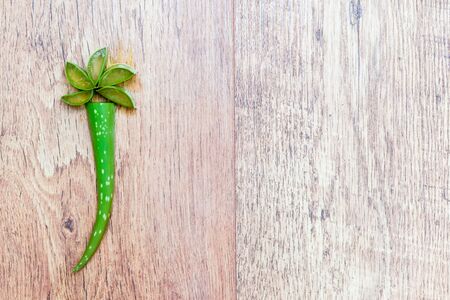 Aloe vera plant cut up in slices with aloe gel for natural healing and beauty productsの写真素材