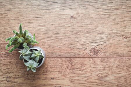 Office or home office desk with decorative plants and cactus on wooden tableの写真素材