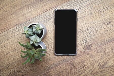 Mobile smart phone on wooden desk with blank screen and decorative cactus
