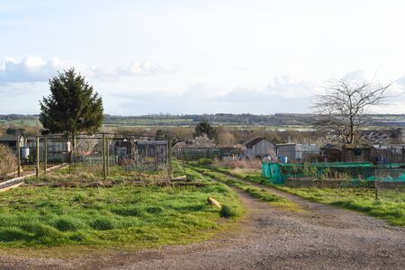 Allotment plot or community garden shared by multiple owners to grow your own vegetables and foodの写真素材
