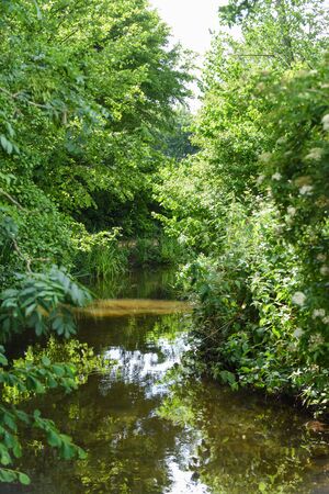 Calm river running through nature reserve in english countrysideの写真素材