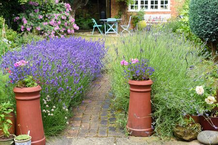Landscaped garden with lawn and flowers growing in flower bedsの写真素材