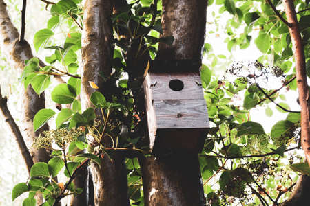 Wooden bird box attached to a tree in a gardenの写真素材