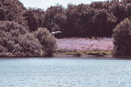 Reservoir in england with high water levels in a nature reserve