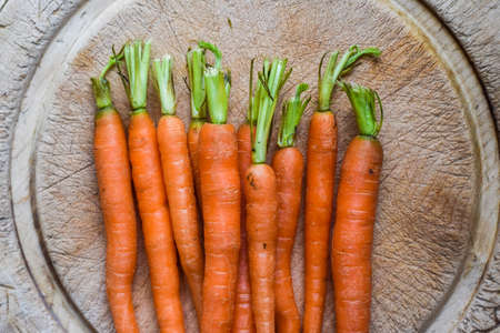 Fresh washed carrots from home grown vegetable patchの写真素材