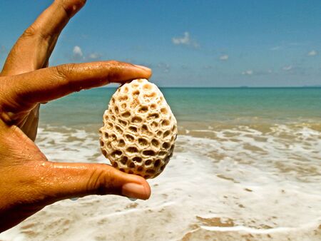 Shell Lanta