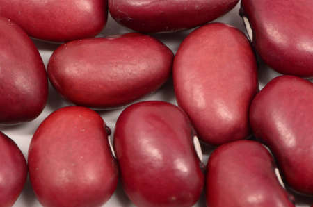 Micro Of  Red Kidney  Beans