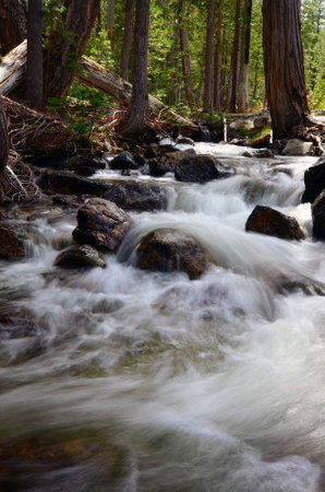 River In Forest South Fork Of Sac.の写真素材