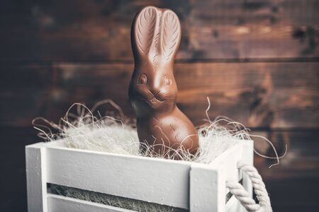 Delicious chocolate Easter bunny inside a basketの写真素材