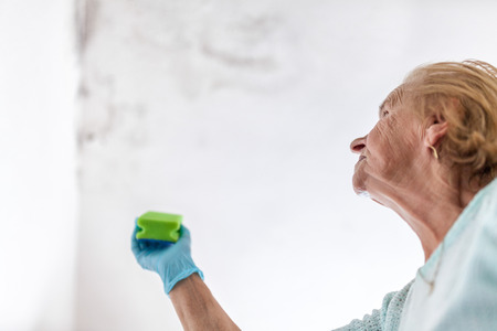 Cleaning up dangerous fungus from a wet wall after water leak at homeの写真素材