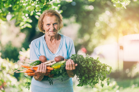 Senior woman holding fresh crop from her gardenの写真素材