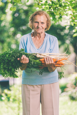 Senior woman holding fresh crop from her gardenの写真素材