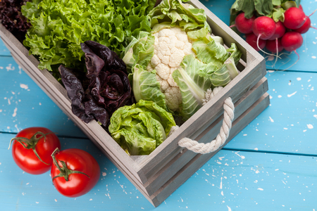 Fresh and healthy organic vegetables on a rustic backgroundの写真素材