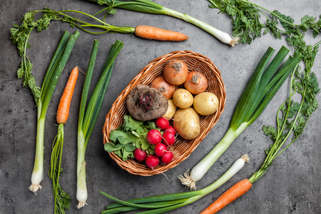 Fresh and healthy organic root vegetables on a rustic backgroundの写真素材