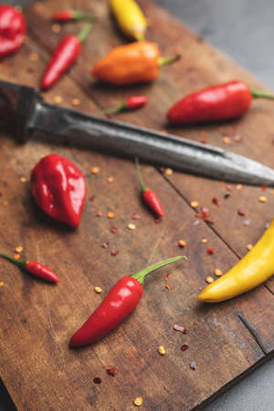 Variety of fresh and dried chili peppers on rustic backgroundの写真素材