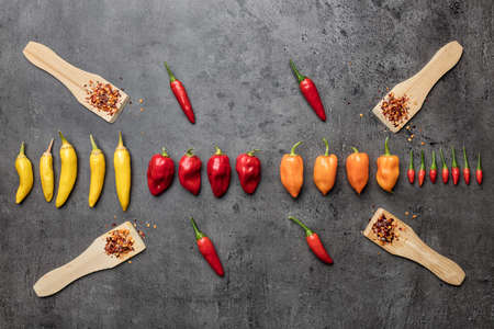 Variety of fresh and dried chili peppers on rustic background
