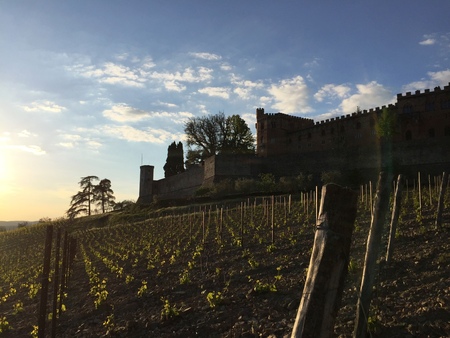 Brolio Castle - Tuscany - Italyのeditorial素材