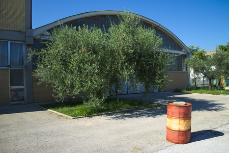 Red and yellow barrels on the street (Pesaro, Italy)の写真素材