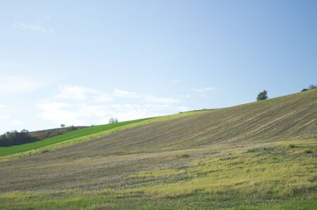 Landscape in Montecchio (Marche, Italy)の写真素材