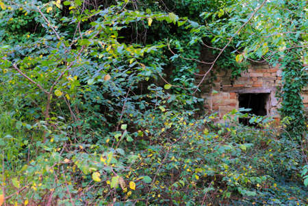 Hidden ruined window in the nature (Pesaro, Italy)の写真素材