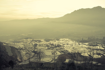 Sunset at Yuanyang Rice Terraces - (Yunnan, China)の写真素材