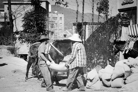 Two men are loading bags on the horse (Yuanyang, Yunnan, China)の写真素材