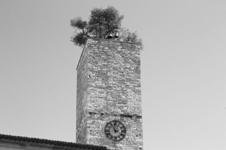 Isolated clock tower with garden and bells on the roof (Spello, Umbria, Italy)