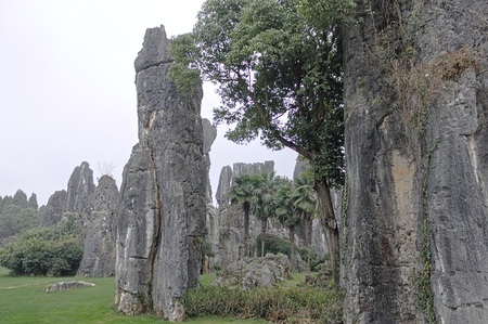 Stone Forest Scenic Area - Shilin (Kunming, Yunnan, China)の写真素材