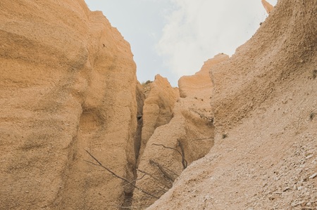 Isolated tree in the canyon (Lame Rosse, Italy, Europe)の写真素材