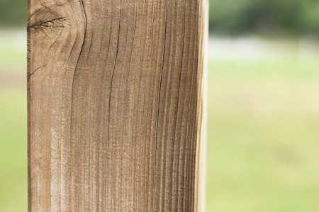 Isolated wooden column in the park - Architectural background (Marche, Italy, Europe)の写真素材
