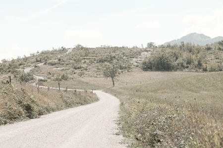 Dirt road in the Italian country - Italian Pathways (Marche, Italy, Europe)