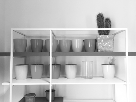 Vases on shelves with a succulent (Italy, Europe)の写真素材