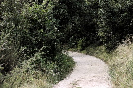 Trekking pathway - Beaten track - Beaten road (Marche, Italy, Europe)の写真素材