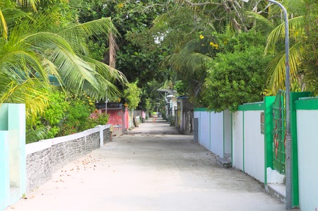 A maldivian street with typical buildings and palm trees (Ari Atoll, Maldives)の写真素材